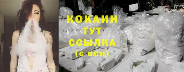 spice Лиски