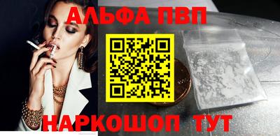 тгк Кингисепп