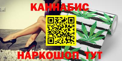 тгк Кингисепп