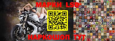 тгк Кингисепп