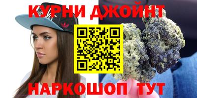тгк Кингисепп