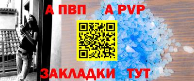 тгк Кингисепп