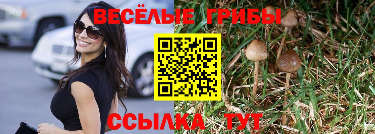 Галлюциногенные грибы GOLDEN TEACHER  купить наркотик  Лесозаводск  Вход с VPN 